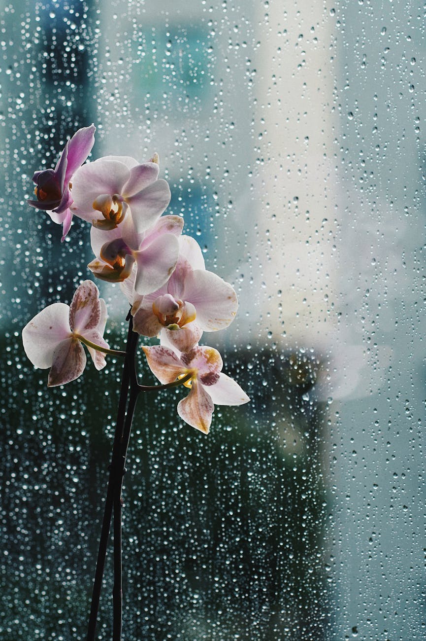 Is this the most humid summer on record?