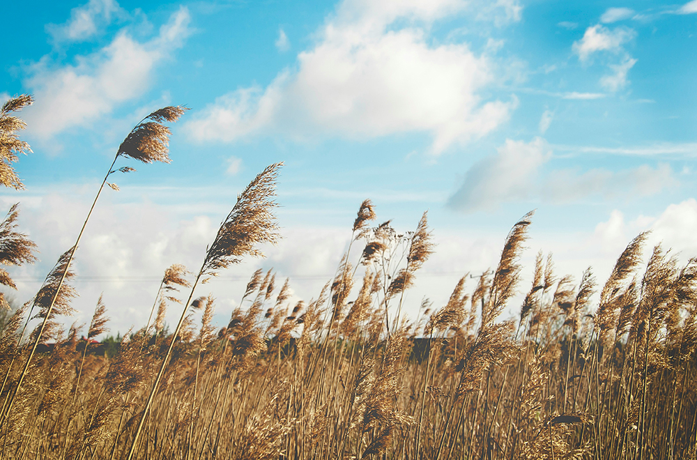 We lived through the Jersey Shore’s windiest winter since 2010-2011
