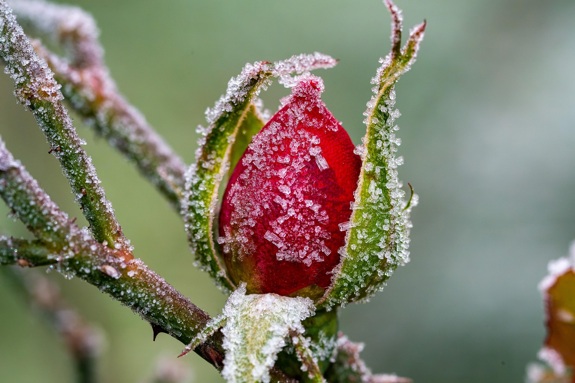 Is it warm enough to plant at the Jersey Shore this April?