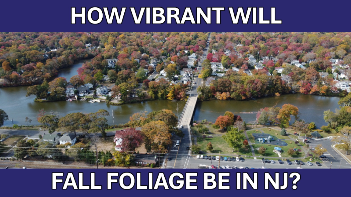 “Average” Fall Foliage expected at the NJ Shore in 2025