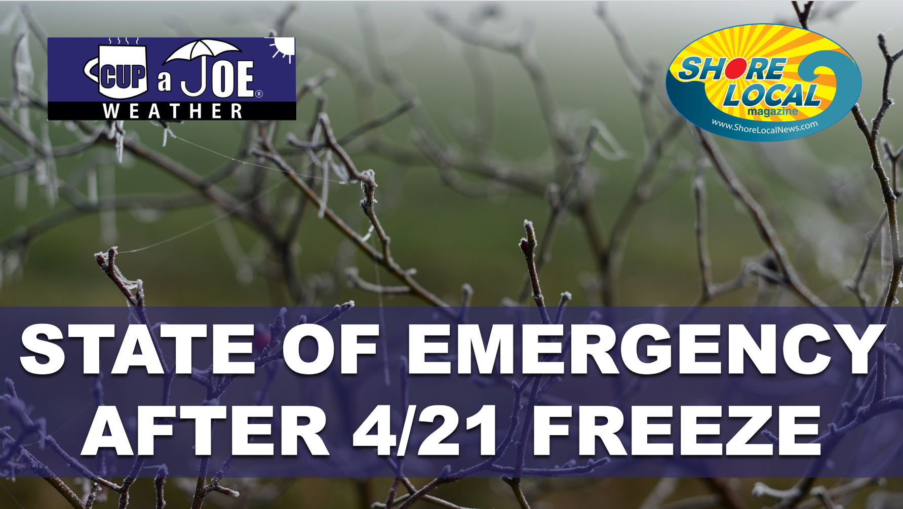 State of emergency declared after weather causes $300M in crop losses